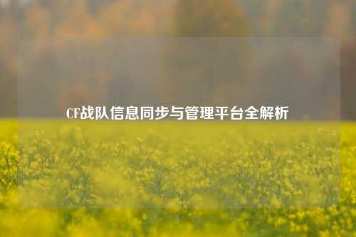 CF战队信息同步与管理平台全解析