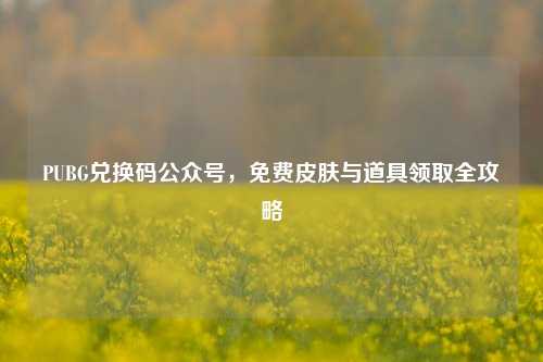 PUBG兑换码公众号,免费皮肤与道具领取全攻略