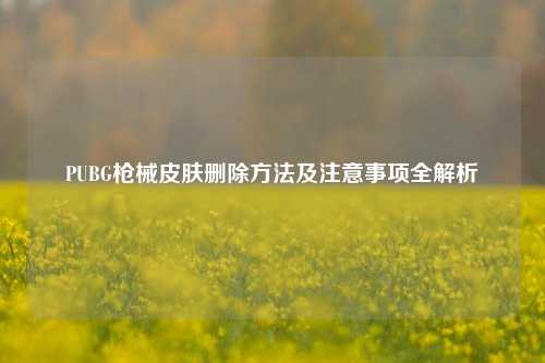 PUBG枪械皮肤删除方法及注意事项全解析