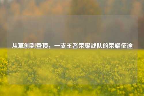 从草创到登顶,一支王者荣耀战队的荣耀征途