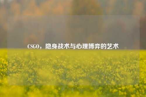CSGO，隐身战术与心理博弈的艺术