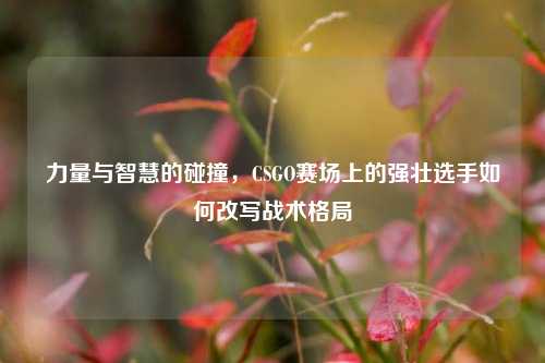 力量与智慧的碰撞，CSGO赛场上的强壮选手如何改写战术格局