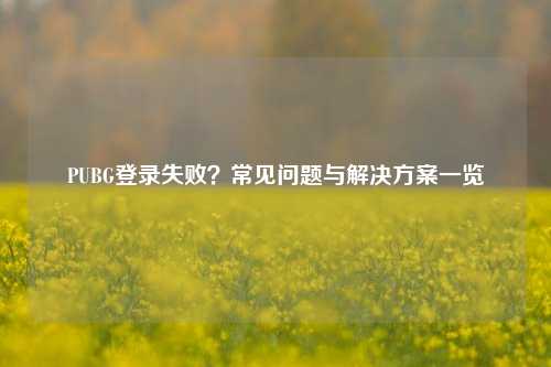 PUBG登录失败？常见问题与解决方案一览
