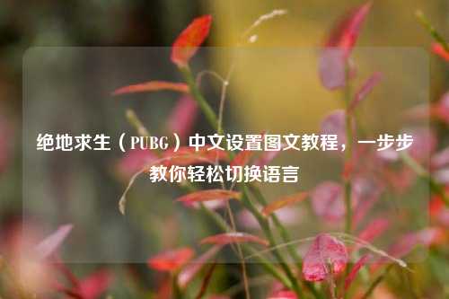 绝地求生（PUBG）中文设置图文教程，一步步教你轻松切换语言