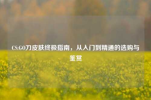 CS:GO刀皮肤终极指南,从入门到精通的选购与鉴赏