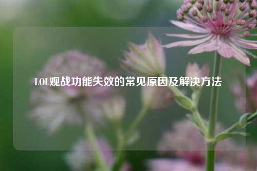 LOL观战功能失效的常见原因及解决方法