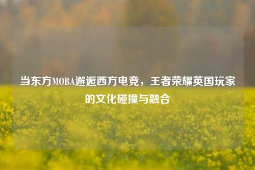 当东方MOBA邂逅西方电竞，王者荣耀英国玩家的文化碰撞与融合