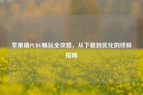 苹果端PUBG畅玩全攻略,从下载到优化的终极指南