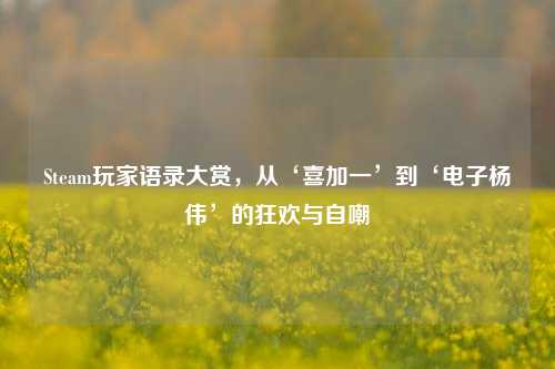 Steam玩家语录大赏，从‘喜加一’到‘电子杨伟’的狂欢与自嘲