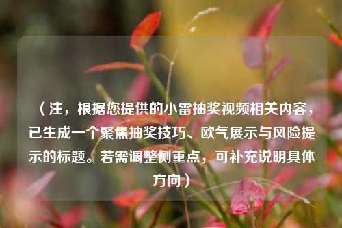 （注，根据您提供的小雷抽奖视频相关内容，已生成一个聚焦抽奖技巧、欧气展示与风险提示的标题。若需调整侧重点，可补充说明具体方向）