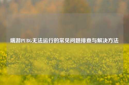端游PUBG无法运行的常见问题排查与解决方法