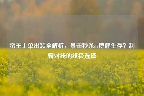 蛮王上单出装全解析，暴击秒杀or稳健生存？制霸对线的终极选择