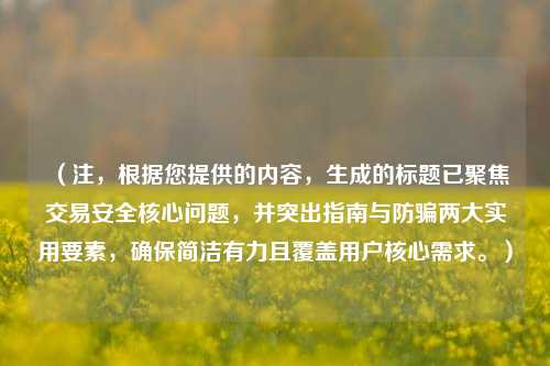 (注,根据您提供的内容,生成的标题已聚焦交易安全核心问题,并突出指南与防骗两大实用要素,确保简洁有力且覆盖用户核心需求。)
