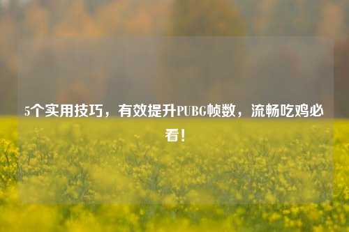 5个实用技巧，有效提升PUBG帧数，流畅吃鸡必看！