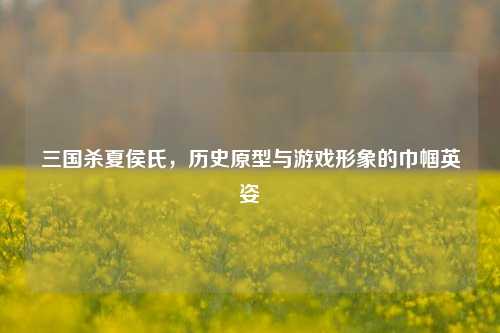 三国杀夏侯氏，历史原型与游戏形象的巾帼英姿