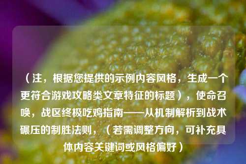 （注，根据您提供的示例内容风格，生成一个更符合游戏攻略类文章特征的标题），使命召唤，战区终极吃鸡指南——从机制解析到战术碾压的制胜法则，（若需调整方向，可补充具体内容关键词或风格偏好）