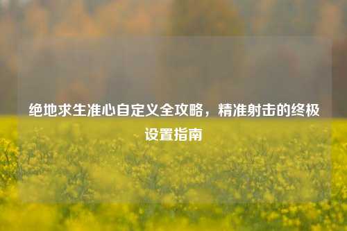 绝地求生准心自定义全攻略，精准射击的终极设置指南