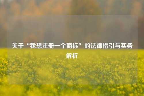 关于“我想注册一个商标”的法律指引与实务解析