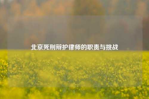 北京死刑辩护律师的职责与挑战