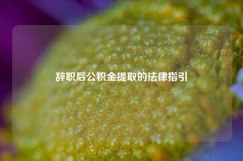 辞职后公积金提取的法律指引