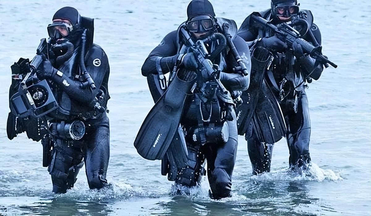 海豹突击队多少钱,cf新海豹突击队有什么属性?