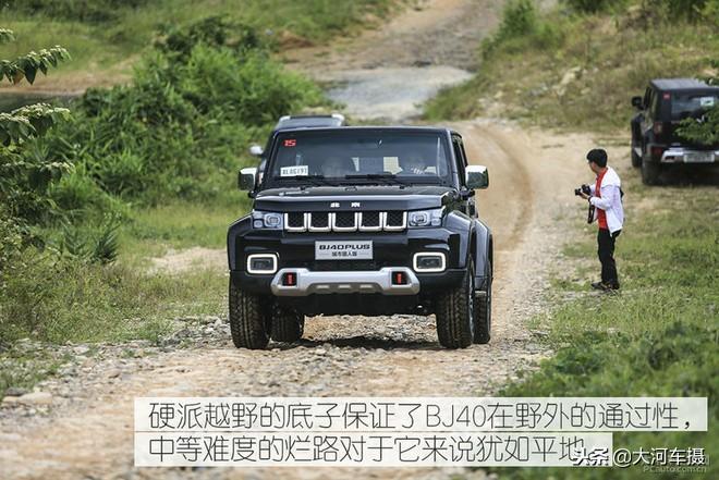 野猎人,见过动物报复人的现象吗?