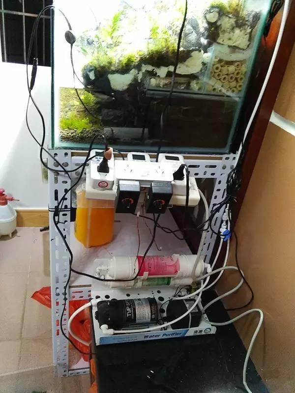 青龙左槽,妄想山海新手怎么玩?