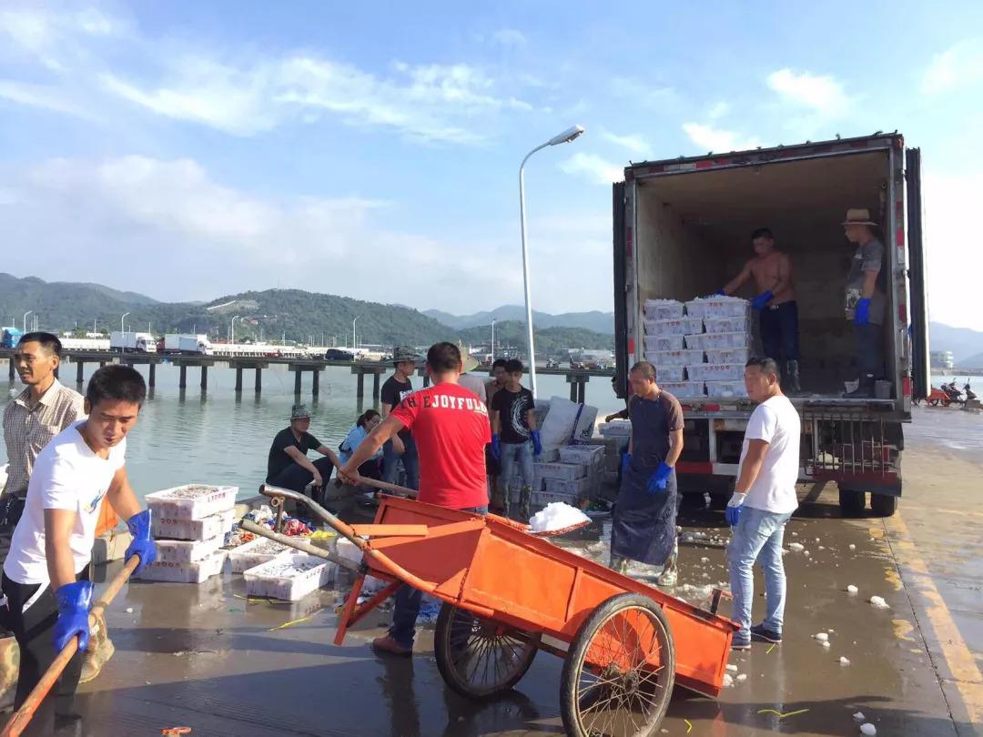 运输船跳箱子,穿越火线狙击怎么练好?