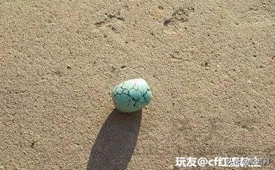cf迅雷下载,怎样在电脑上下载电脑版的穿越火线?