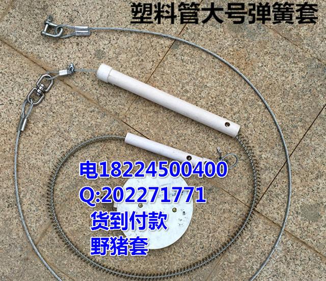 野猪套,DNF假猪套能过艾肯吗?
