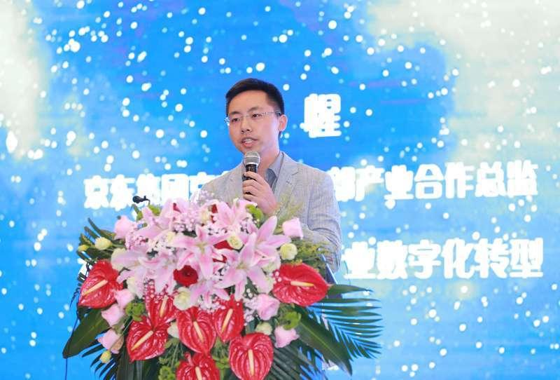 cfi,ps5型号cfi1109a是什么版本?