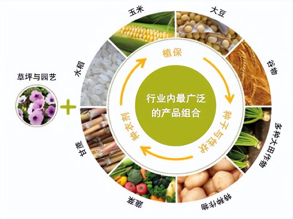 st远东,俄罗斯有多少优质的港口?