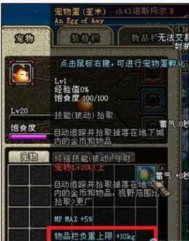 dnf亚米,dnf亚米宠物是自动捡所有物品吗?