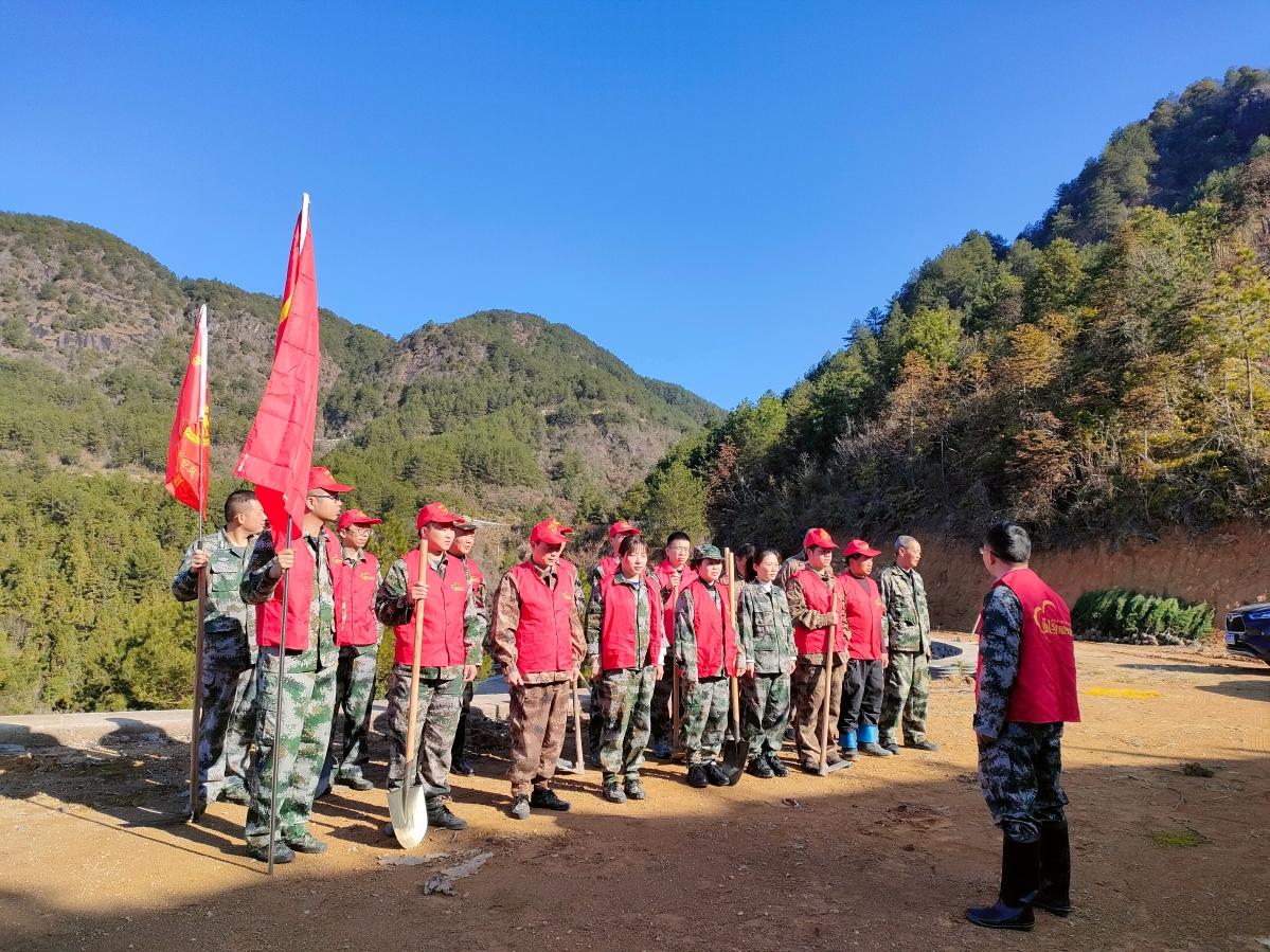 绿大地股吧,大地保险车险绿色出行怎么样?