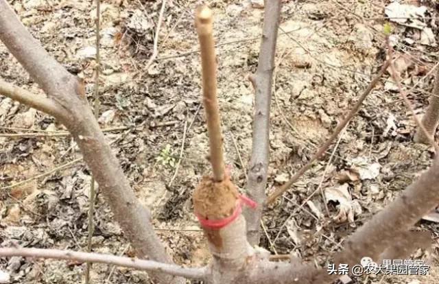 dnf管家礼包,蜻蜓管家靠谱吗?